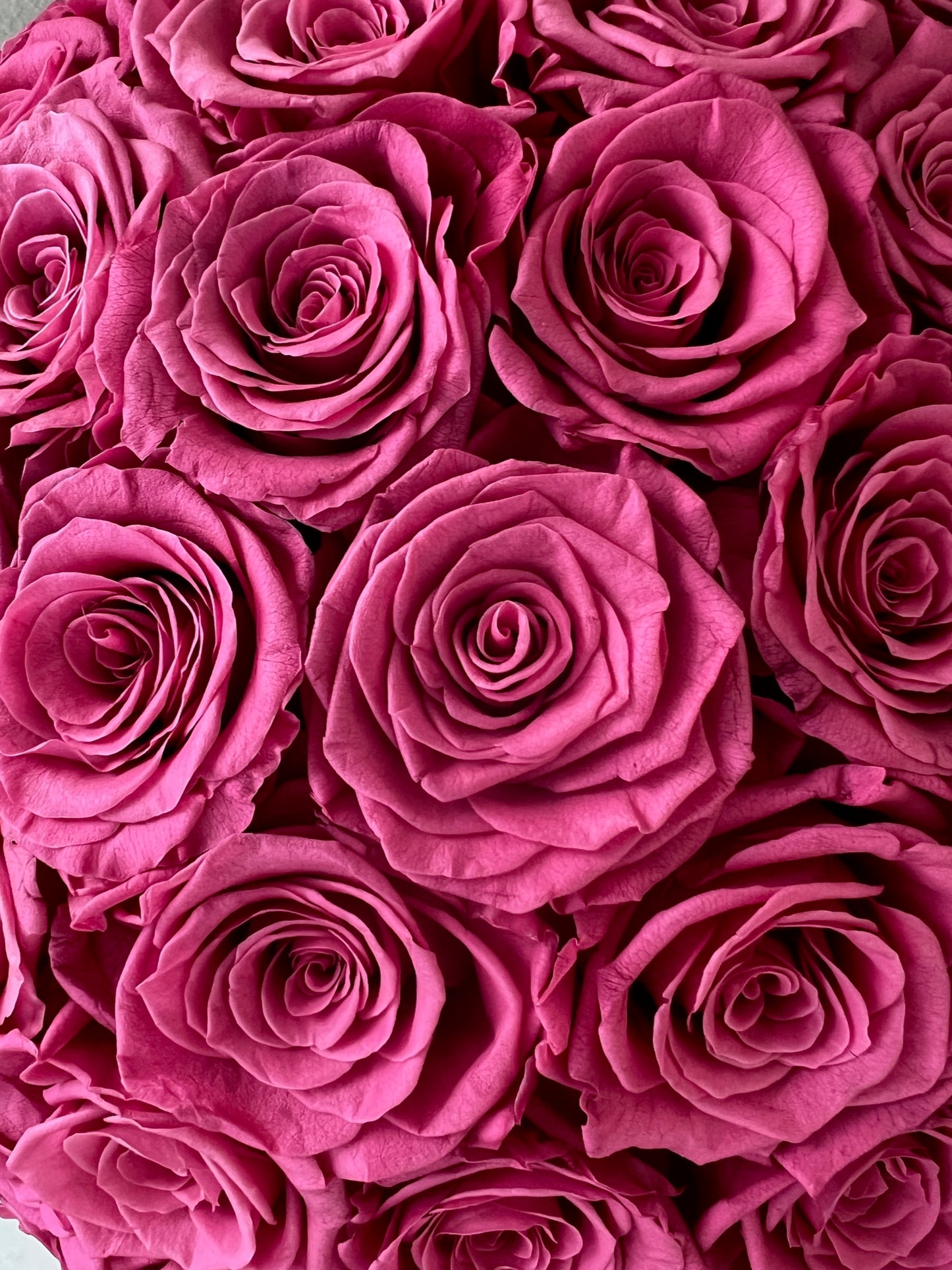 Le Dome all Pink
