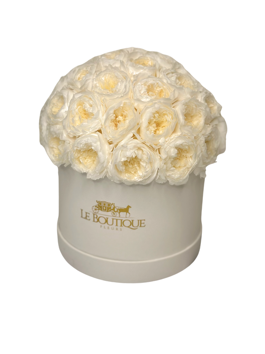 Le Peony Dome All White
