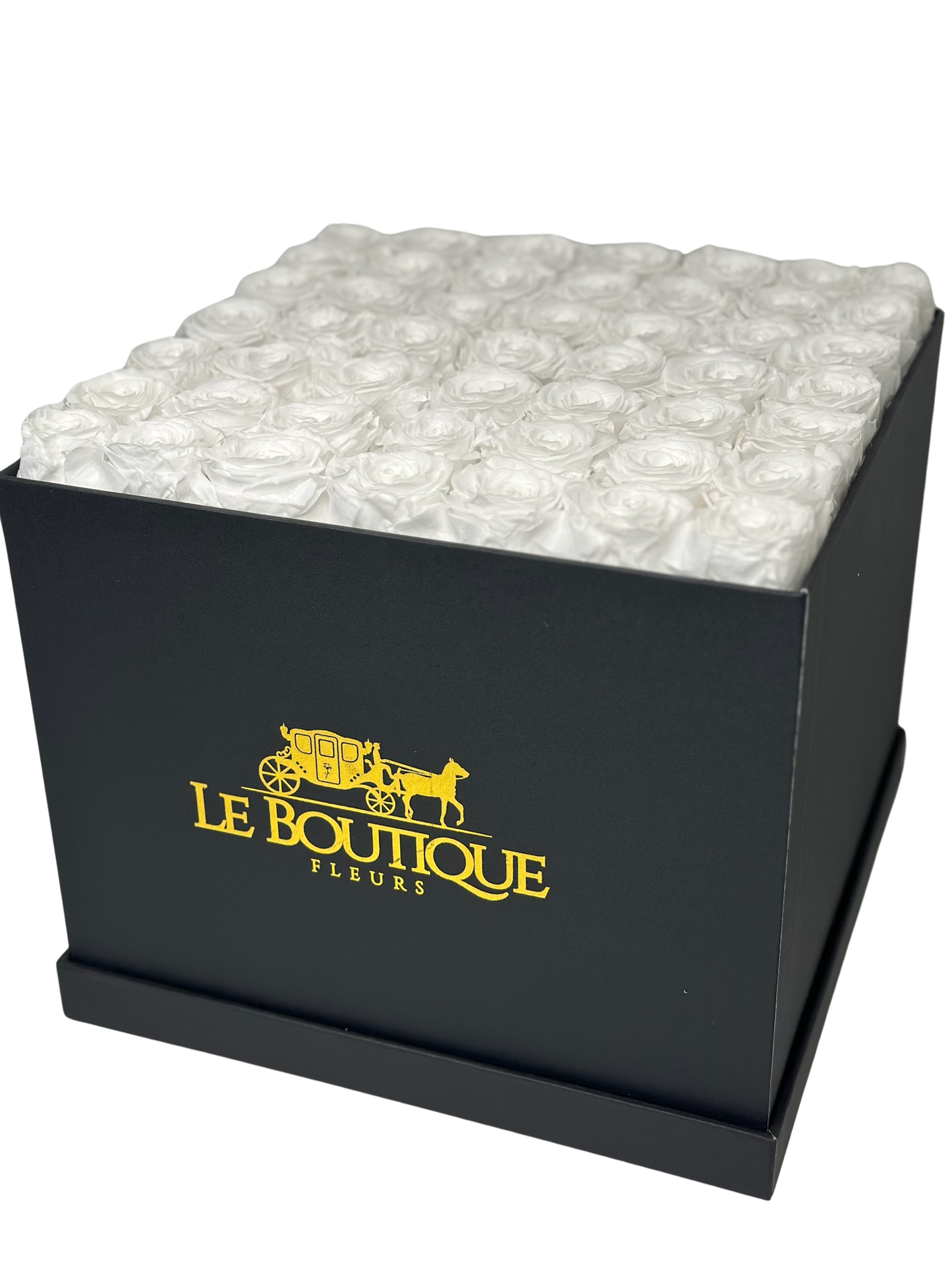 Le Square Large - Black and White