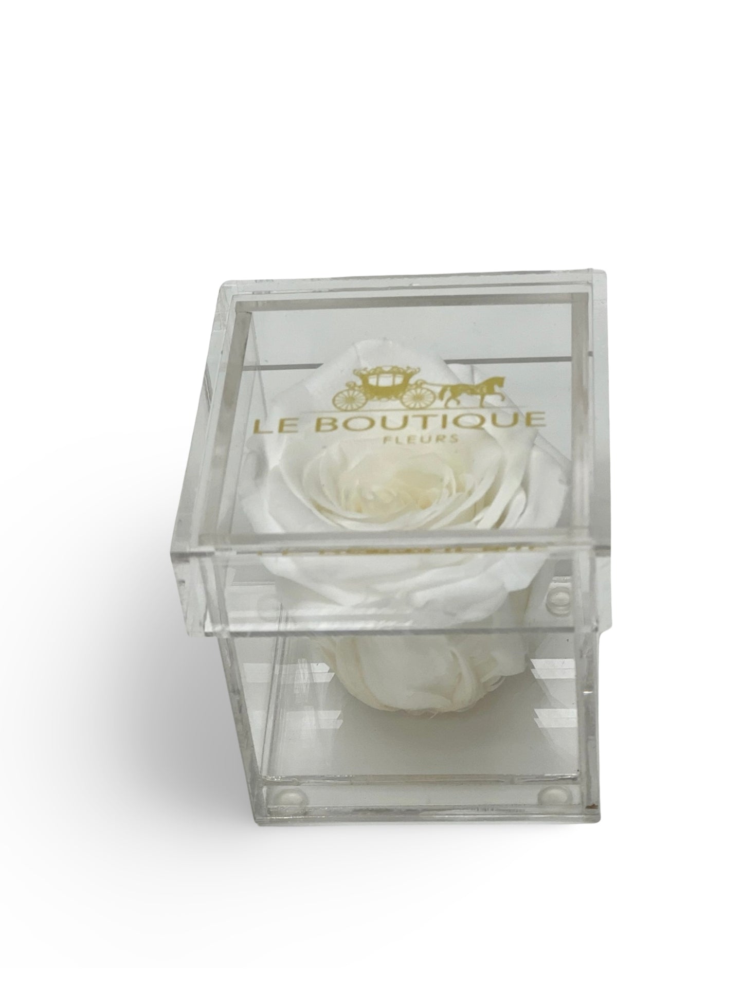 Le Unité Fleur Whithe