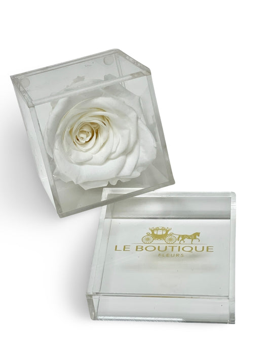 Le Unité Fleur Whithe