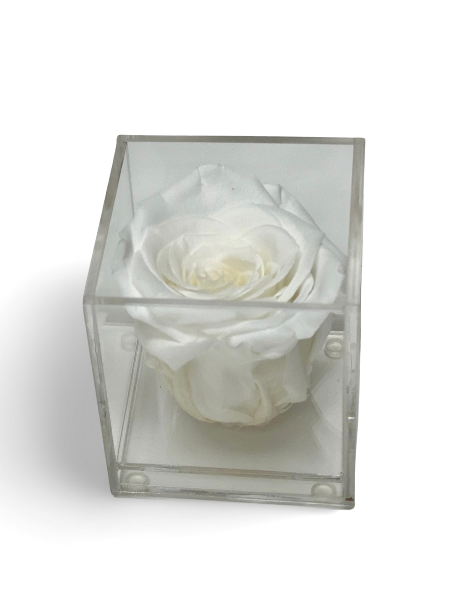 Le Unité Fleur Whithe
