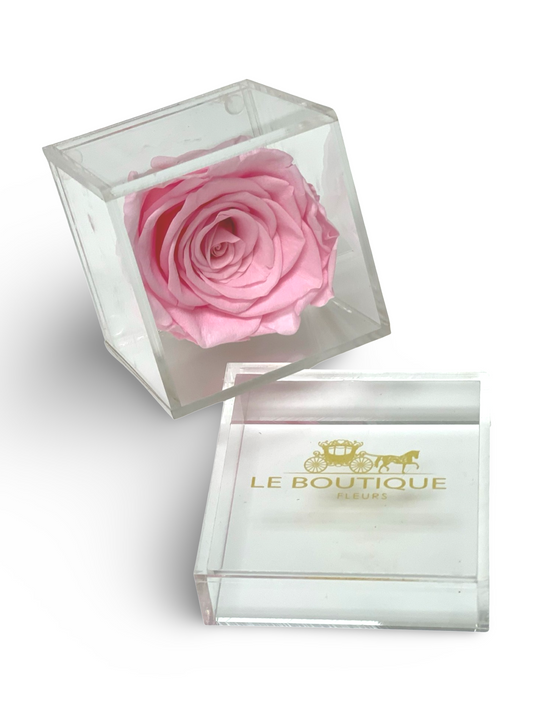 Le Unité Fleur Pink