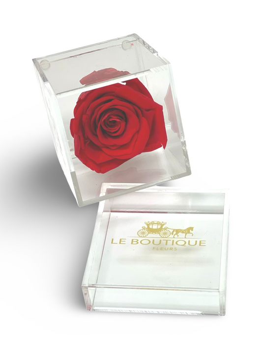 Le Unité Fleur Red