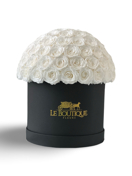 Le Dome Black & White