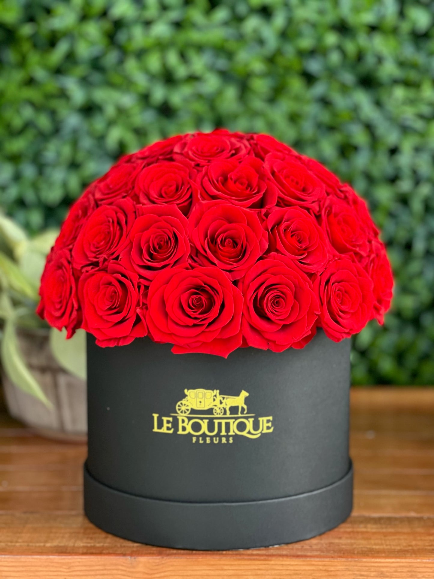 Le Dome Black & Red