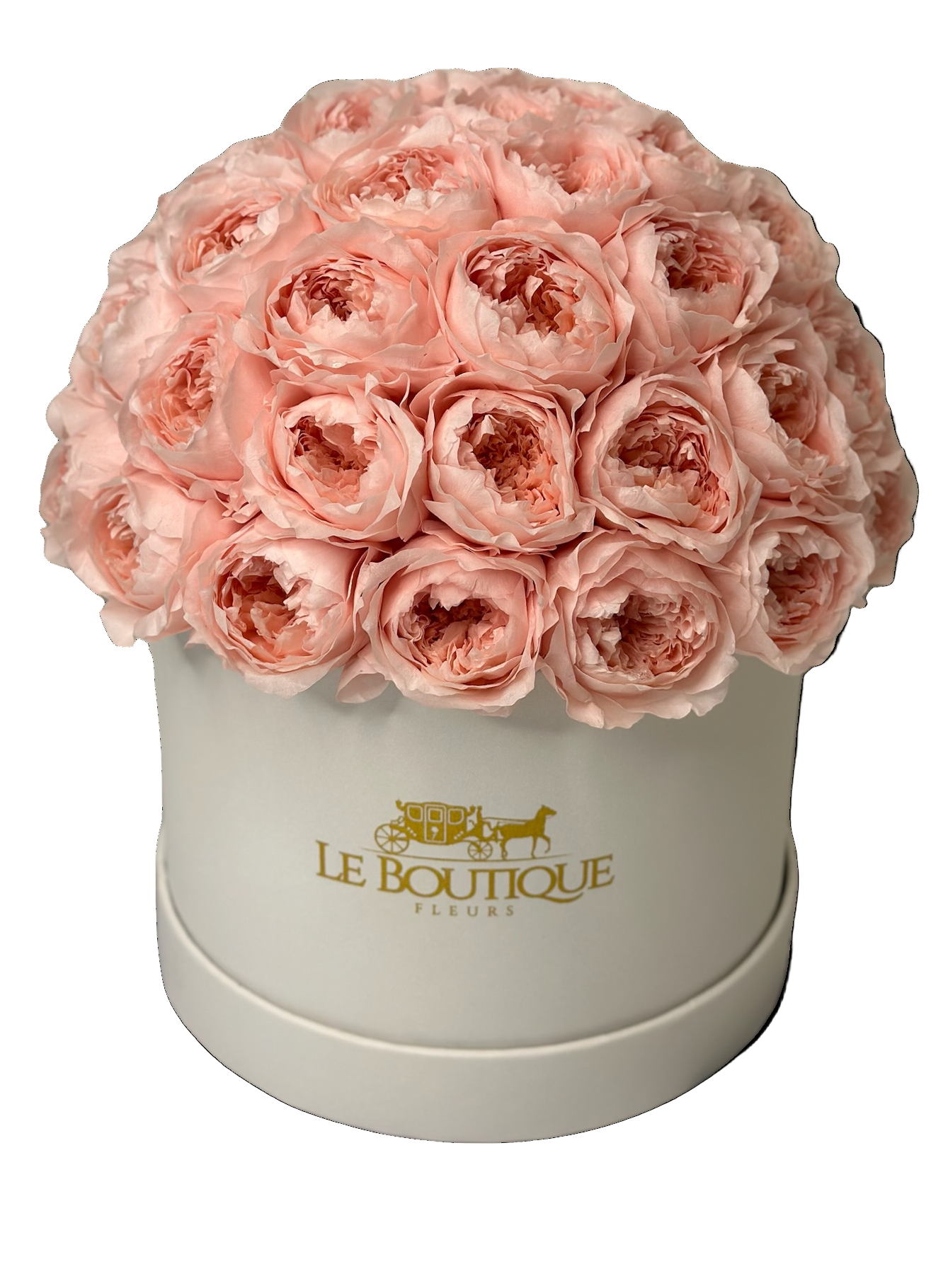 Le Peony White and Blush
