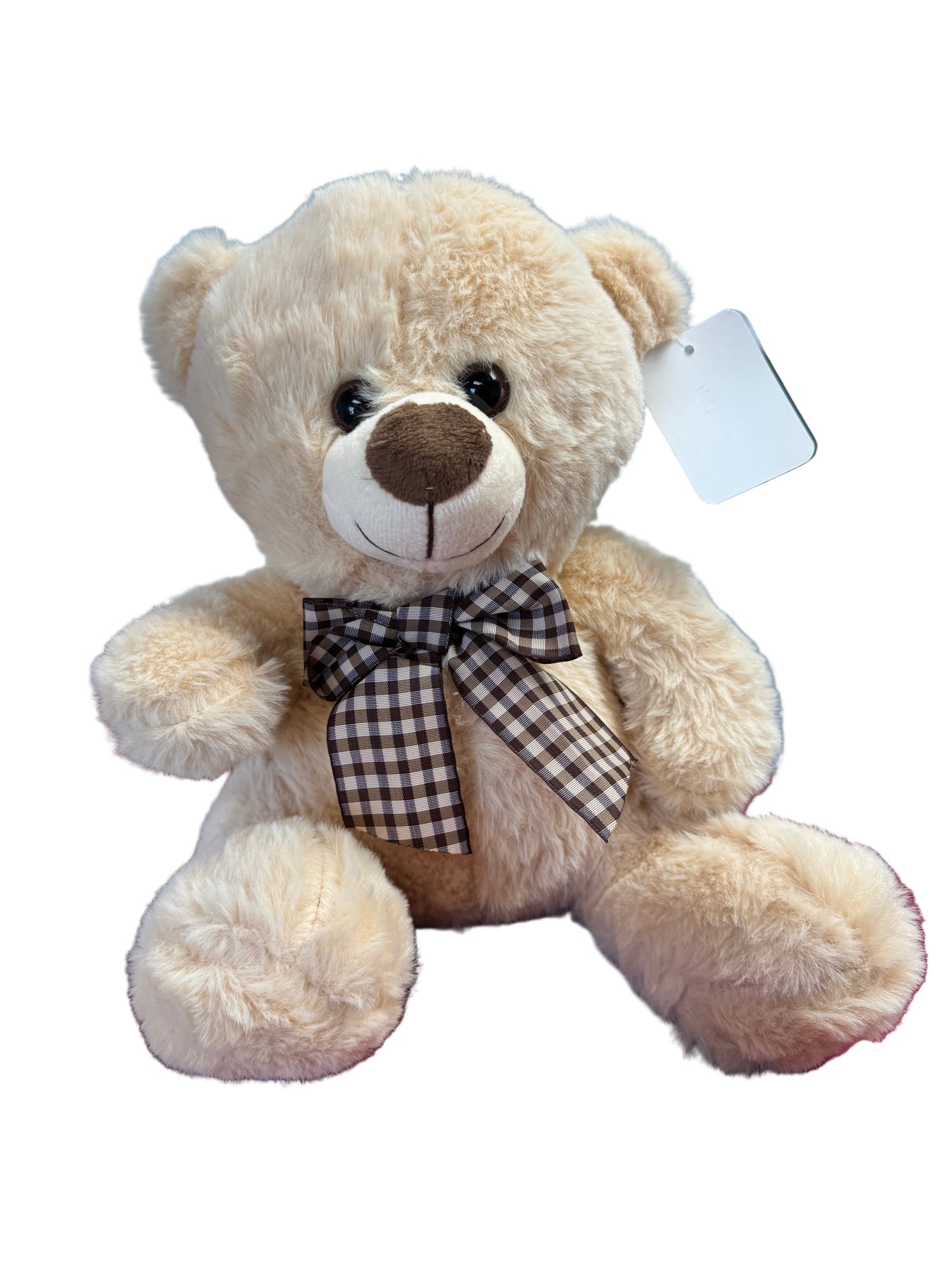 Plush Teddy Bear