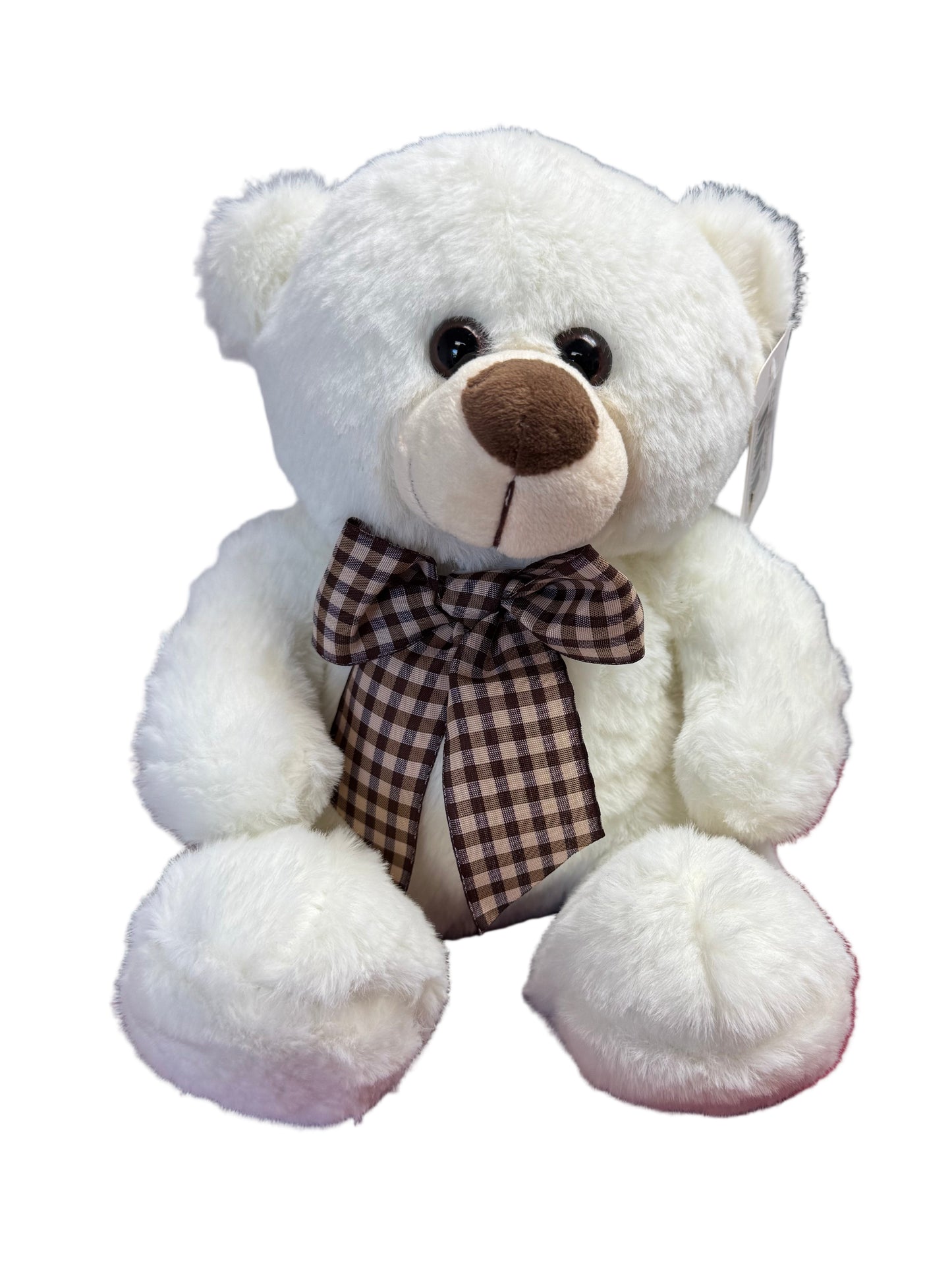 Plush Teddy Bear