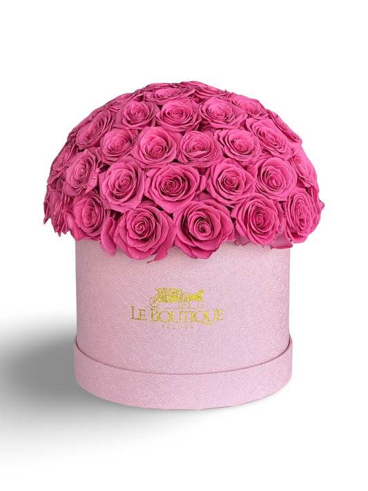 Le Dome all Pink