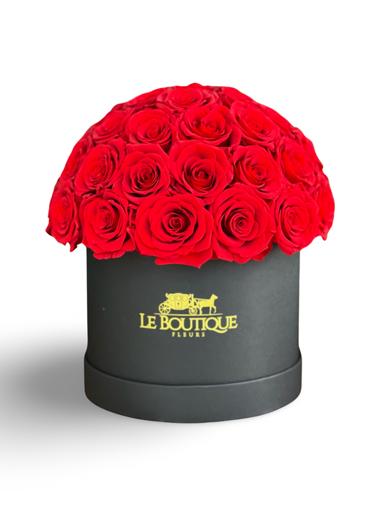 Le Dome Black & Red