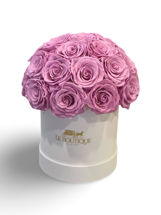 Le Dome Lilac