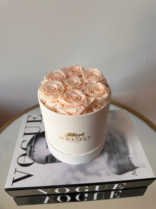 Le Round Box White/Peach Small